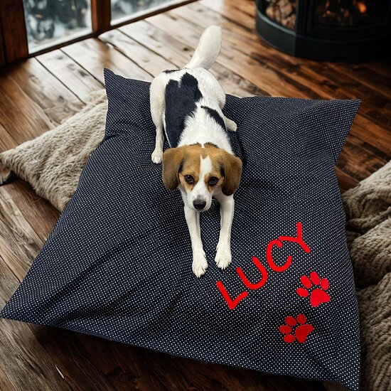 Bild 2 - Hundekissen Schwarz mit P�nktchen