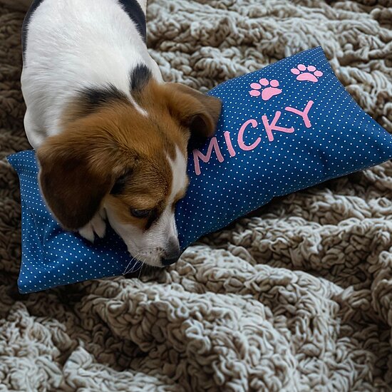 Bild 2 - Hundekissen blau, 40x20cm, personalisierbar