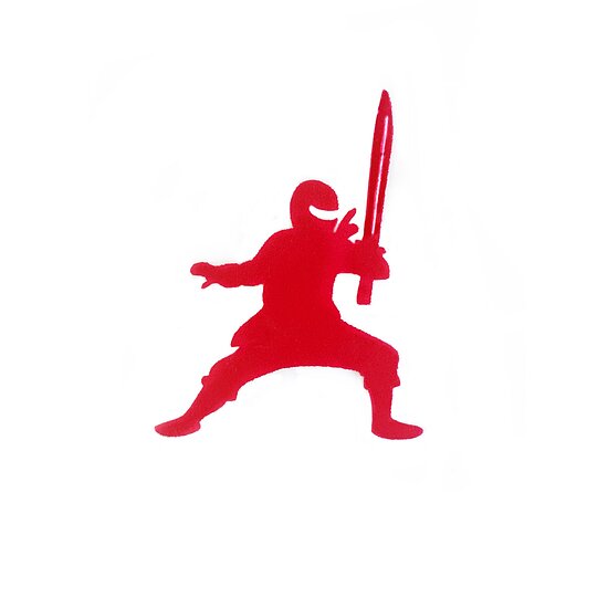 Bild 1 - Ninja