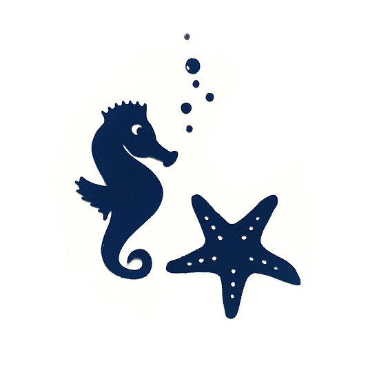 Bild 1 - Seepferdchen und Seestern