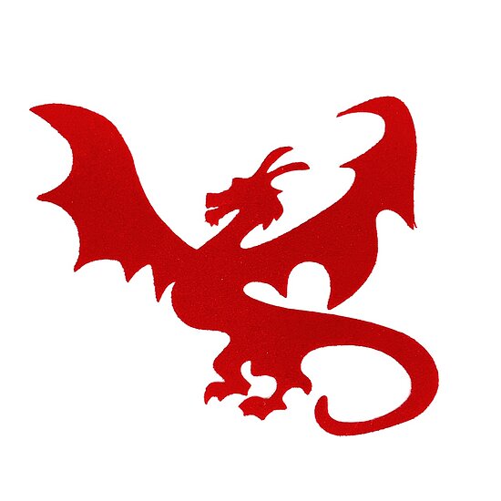 Bild 1 - Drache