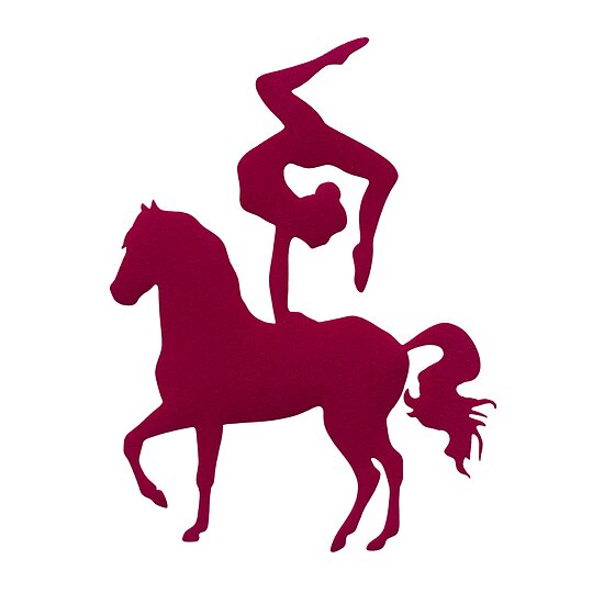 Bild 1 - Voltigiermotiv